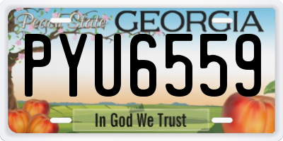 GA license plate PYU6559