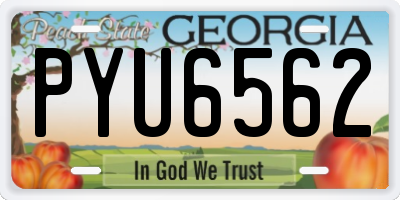 GA license plate PYU6562