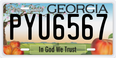 GA license plate PYU6567