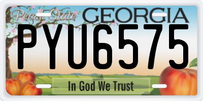 GA license plate PYU6575