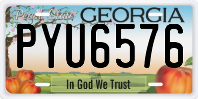 GA license plate PYU6576