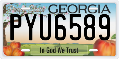 GA license plate PYU6589