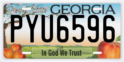 GA license plate PYU6596