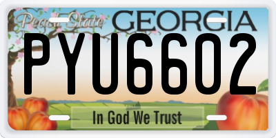 GA license plate PYU6602