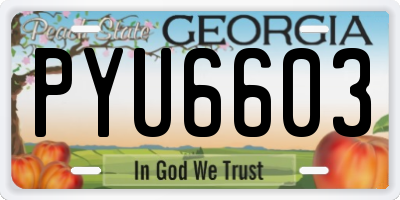 GA license plate PYU6603