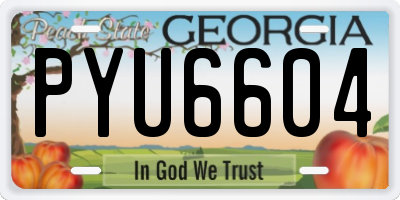 GA license plate PYU6604