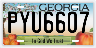 GA license plate PYU6607