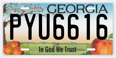 GA license plate PYU6616