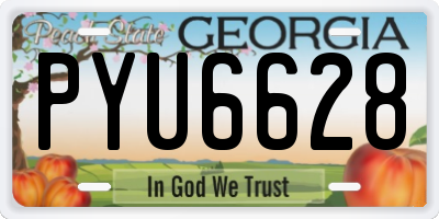GA license plate PYU6628