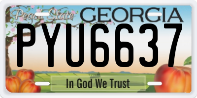 GA license plate PYU6637