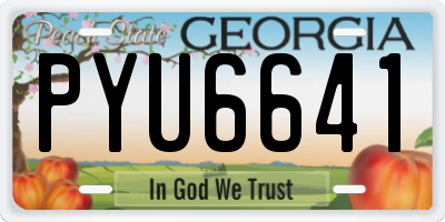 GA license plate PYU6641