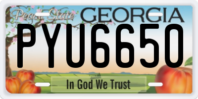 GA license plate PYU6650