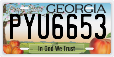 GA license plate PYU6653