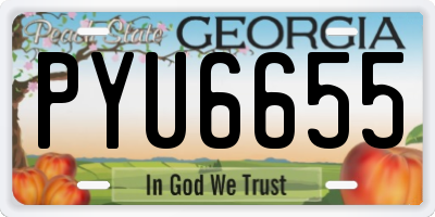 GA license plate PYU6655