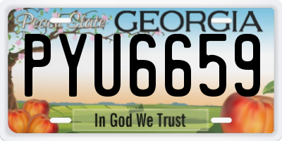 GA license plate PYU6659