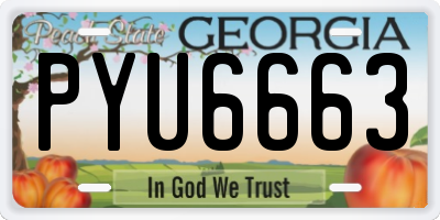 GA license plate PYU6663