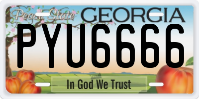 GA license plate PYU6666