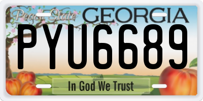 GA license plate PYU6689