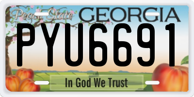 GA license plate PYU6691