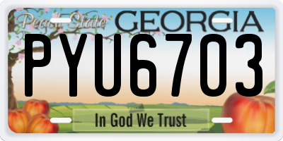 GA license plate PYU6703