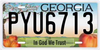 GA license plate PYU6713
