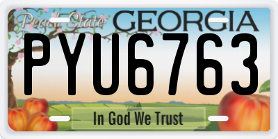 GA license plate PYU6763
