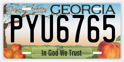 GA license plate PYU6765
