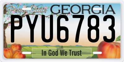 GA license plate PYU6783