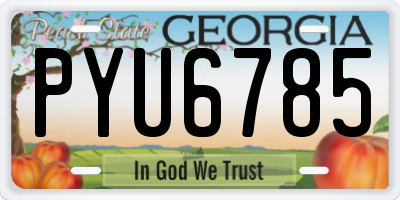 GA license plate PYU6785