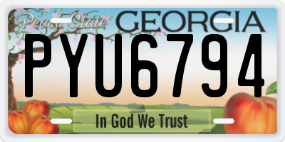 GA license plate PYU6794