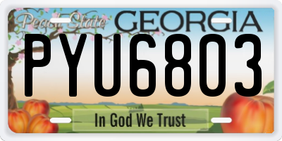 GA license plate PYU6803