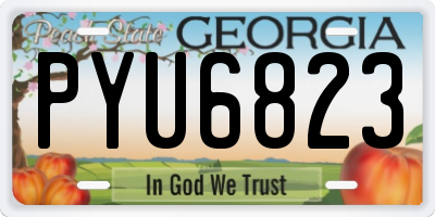 GA license plate PYU6823
