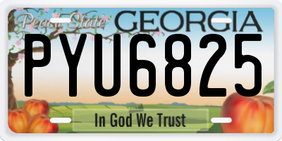 GA license plate PYU6825