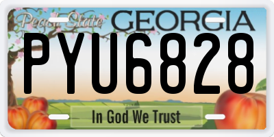 GA license plate PYU6828