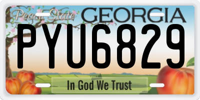 GA license plate PYU6829