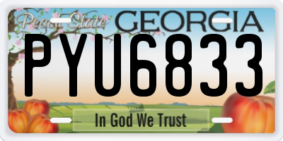 GA license plate PYU6833