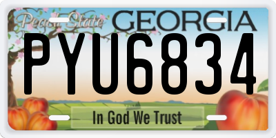 GA license plate PYU6834