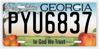 GA license plate PYU6837