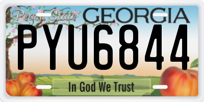 GA license plate PYU6844