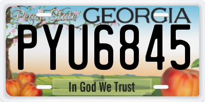 GA license plate PYU6845