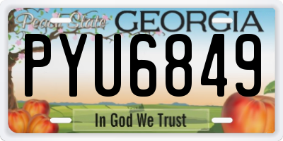 GA license plate PYU6849