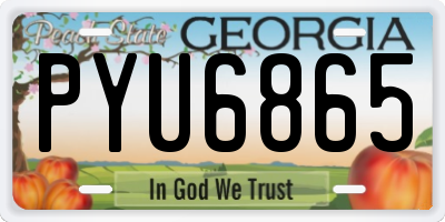 GA license plate PYU6865