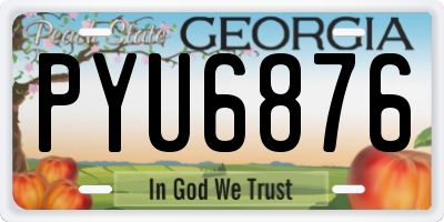 GA license plate PYU6876