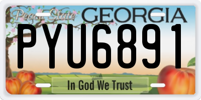 GA license plate PYU6891
