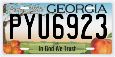 GA license plate PYU6923