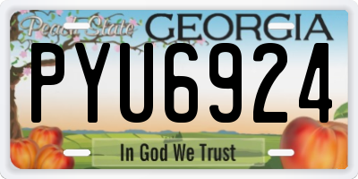 GA license plate PYU6924
