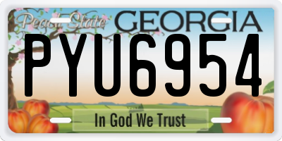 GA license plate PYU6954
