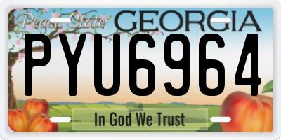 GA license plate PYU6964