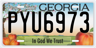 GA license plate PYU6973