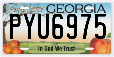 GA license plate PYU6975